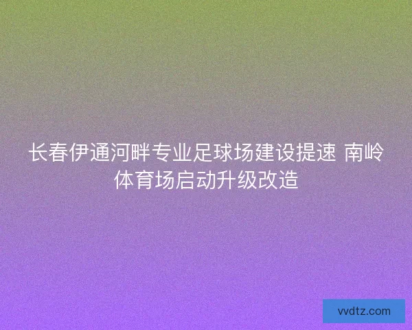 长春伊通河畔专业足球场建设提速 南岭体育场启动升级改造