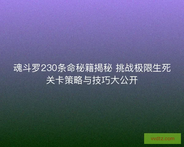 魂斗罗230条命秘籍揭秘 挑战极限生死关卡策略与技巧大公开